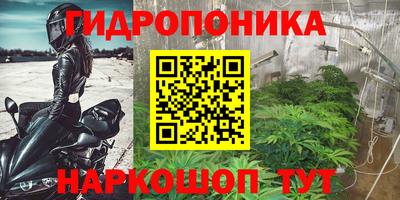 apvp Кунгур