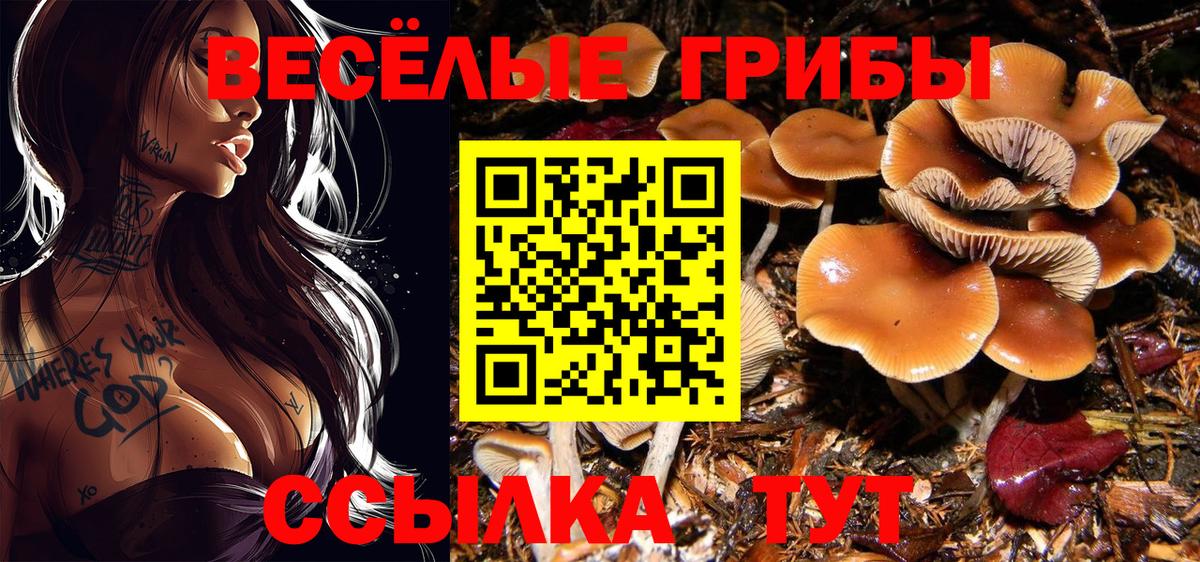 Дзержинск  Галлюциногенные грибы ЛСД  Галлюциногенные грибы MAGIC MUSHROOMS  Вход с VPN 